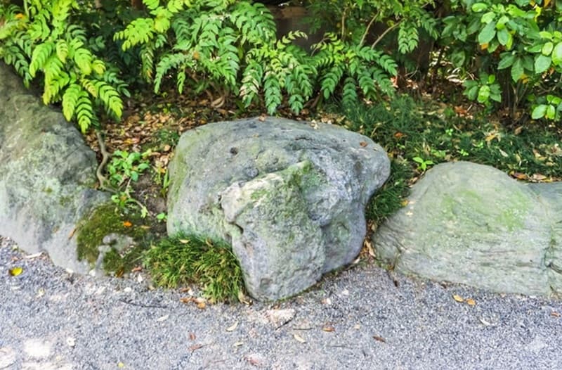 伐採後の枝葉回収処分